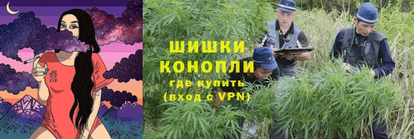 прущий лед Пересвет
