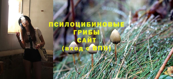 прущий лед Пересвет