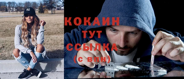 прущий лед Пересвет