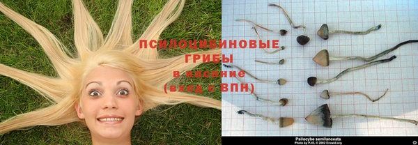 прущий лед Пересвет