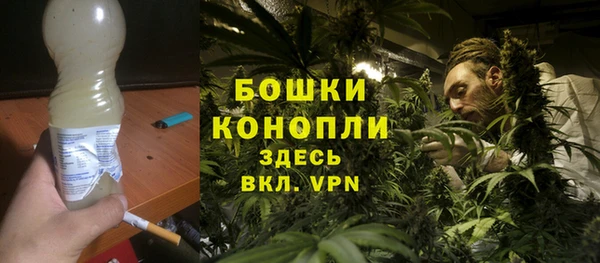 соль ск Переславль-Залесский
