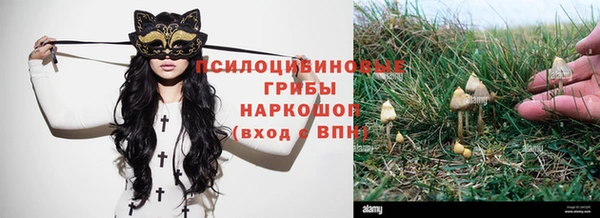 соль ск Переславль-Залесский