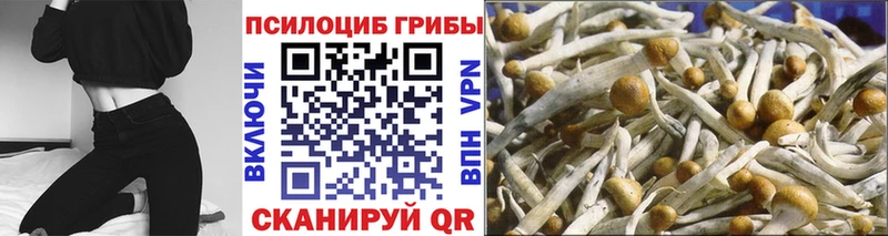 Галлюциногенные грибы MAGIC MUSHROOMS  Углегорск 